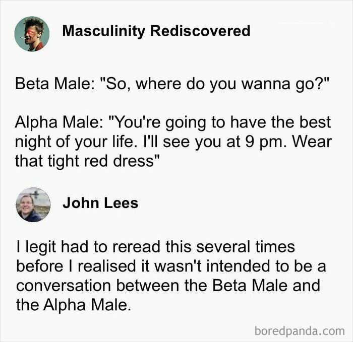 Meme text about Beta and Alpha Male conversation from "50 Nerds Of Grey", humorously misinterpreted.