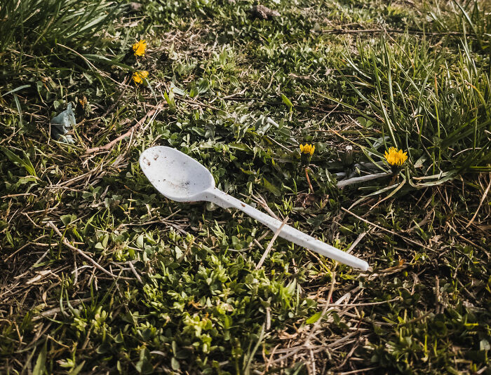 Plastic spoon on grass, related to weirdest things doctors removed from bodies.