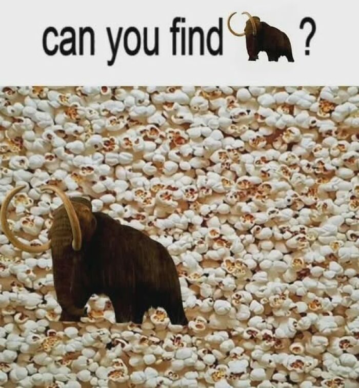 Literal meme of a mammoth hidden among popcorn with a caption, "can you find?"