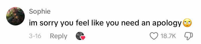 Comment by Sophie with eye-roll emoji: "I'm sorry you feel like you need an apology."