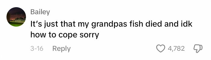 Bailey’s comment about a grandfather’s fish dying, with 4,782 likes.