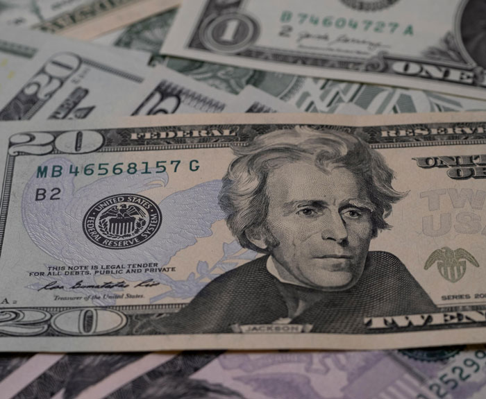 U.S. currency, including a prominent twenty-dollar bill, highlighting overlooked problems affecting mental health.