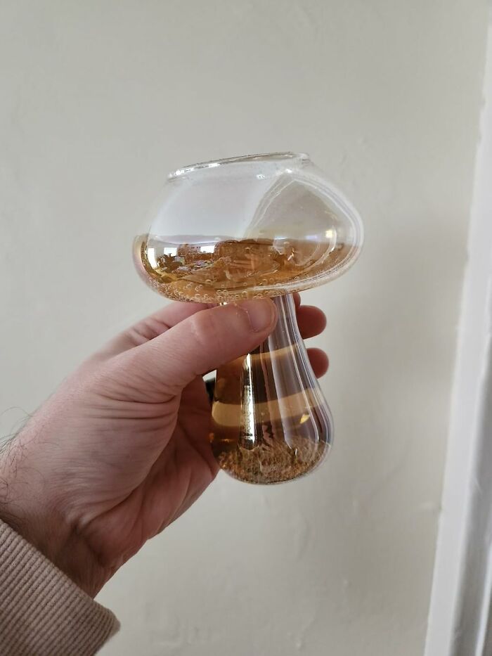 Hand holding a unique glass item with liquid, representing a spring find.