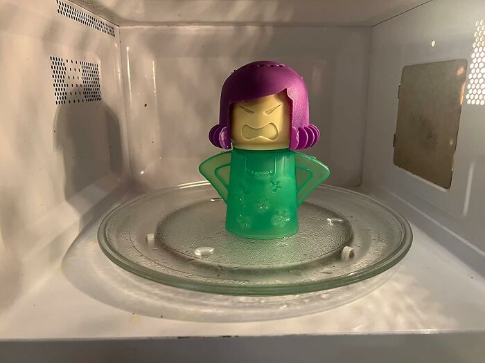 Kitchen game-changer: a steam cleaner with a playful design inside a microwave.