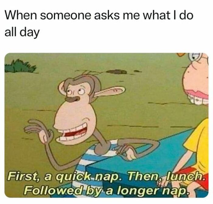 Cartoon monkey describing a lazy day plan in an old cartoon meme.
