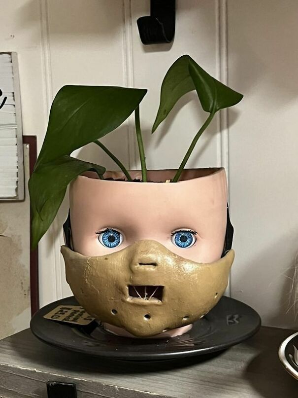 Unusual thrift item: Baby doll head planter with blue eyes and leaves growing from the top.