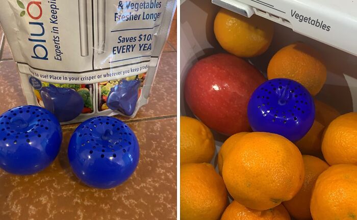 Blue fruit savers in a fridge drawer with apples and oranges, showcasing an extraordinary way to keep produce fresh longer.