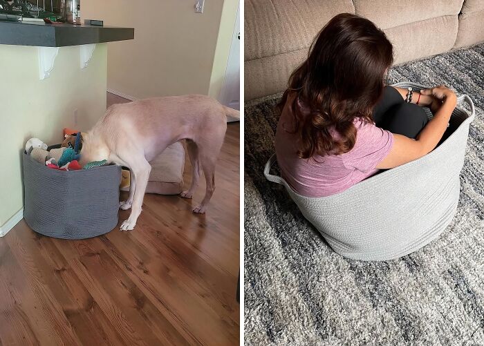 Dog searching basket, person cozily sitting in the same basket, showcasing creative spring cleaning approaches.