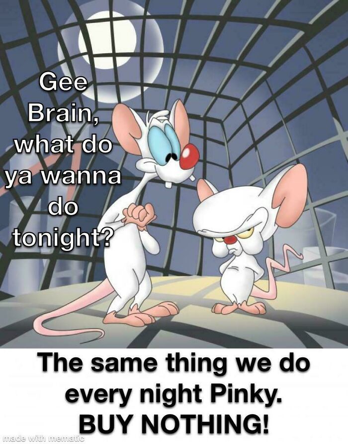 Animated characters Pinky and Brain discuss buying nothing as a reminder of harmful consumerism trends.