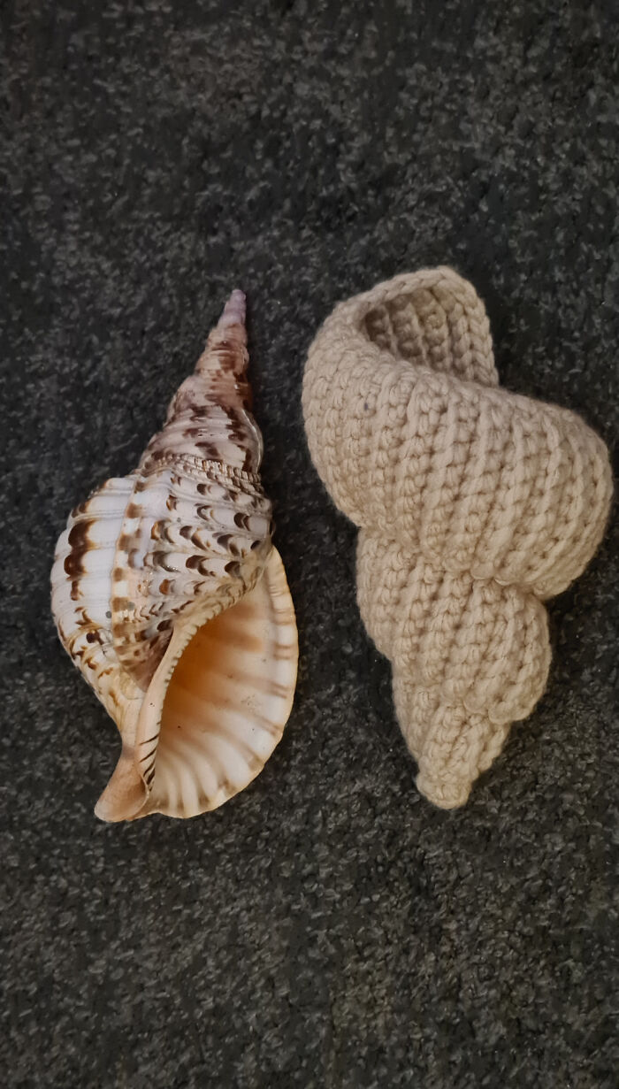 Crochet creation resembling a seashell placed next to a real seashell on a dark textured surface by crochet enthusiasts.