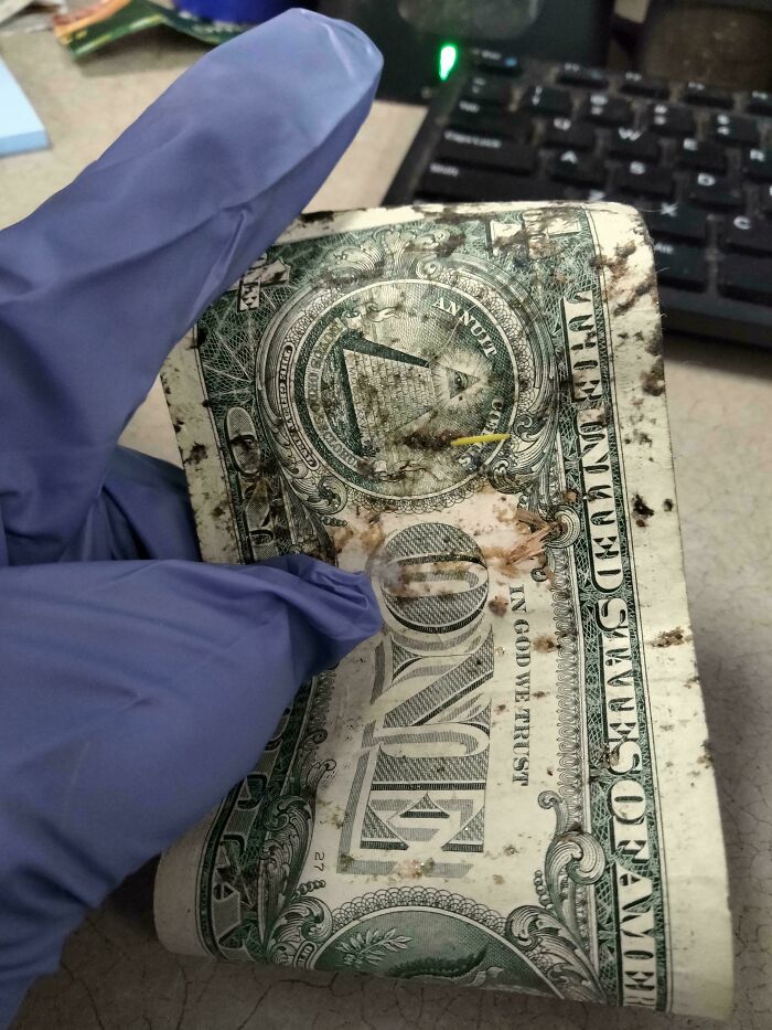 A gloved hand holds a dirty, rolled-up dollar bill, highlighting extreme customer cluelessness.