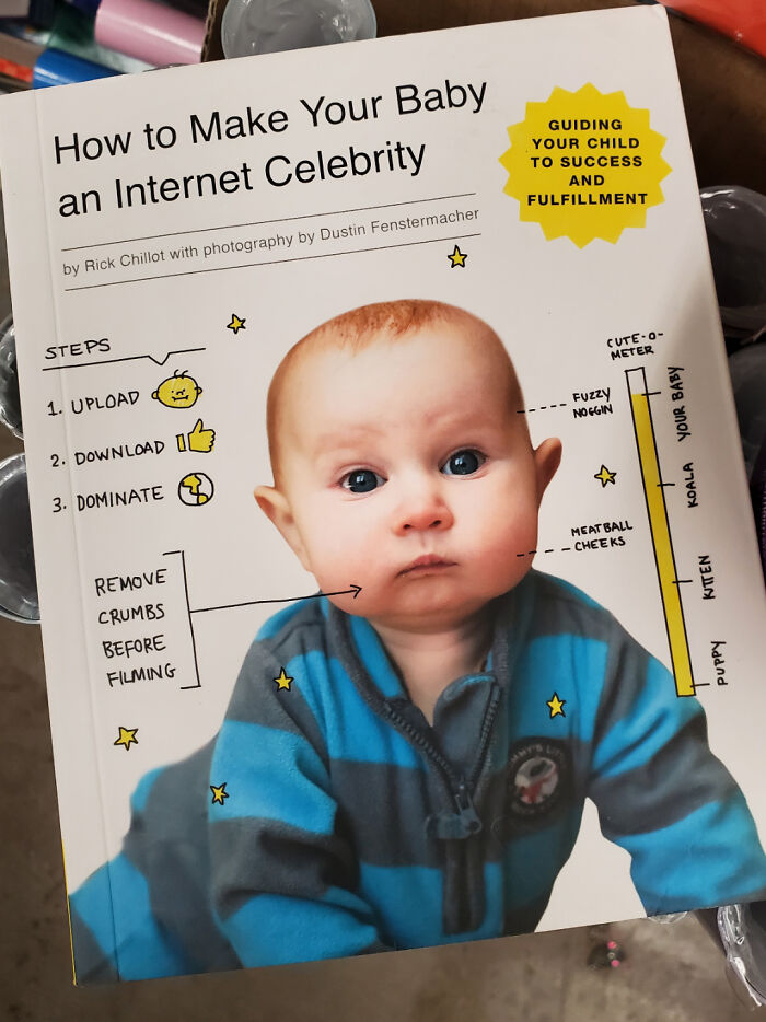 Book cover of "How to Make Your Baby an Internet Celebrity" featuring a baby in a striped outfit.