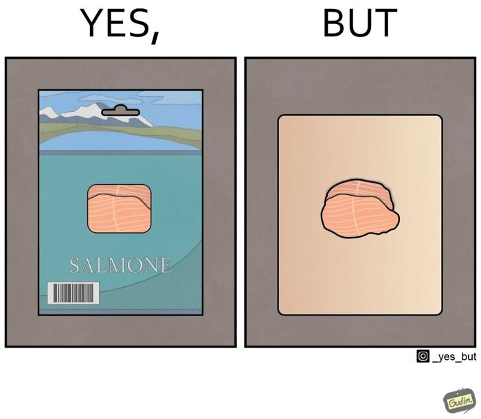 Illustration of society's contradictions by Anton Gudim, showing a packaged salmon labeled "yes, but" with little content.
