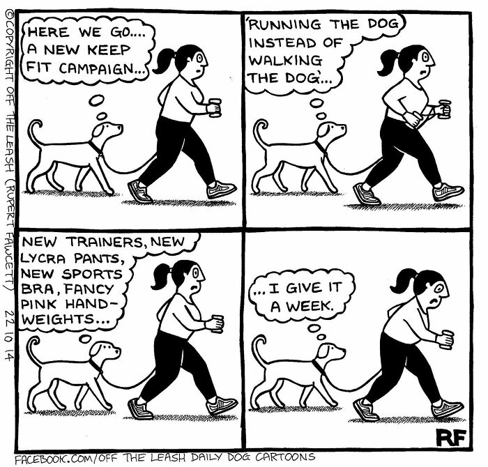 Woman jogging with dog in a relatable comic about the reality of owning a dog, contemplating fitness efforts.