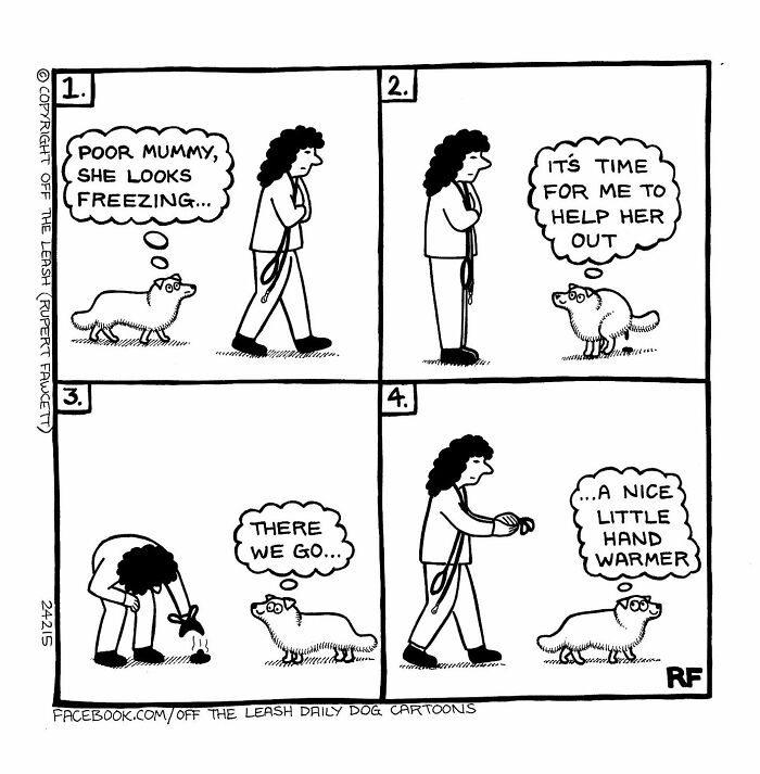 Comic about the reality of owning a dog, featuring a woman and her fluffy companion acting as a hand warmer.