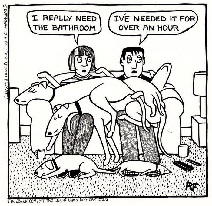 A comic showing two people trapped on a couch by dogs, highlighting the relatable reality of owning a dog.