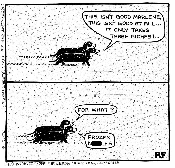 Cartoon of two dogs walking in the snow, one warning about the snow's depth impacting their reality.