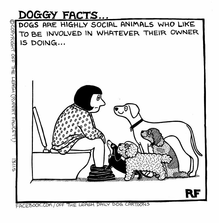 Cartoon of a woman sitting on a toilet, surrounded by her social dogs, illustrating the reality of owning a dog.