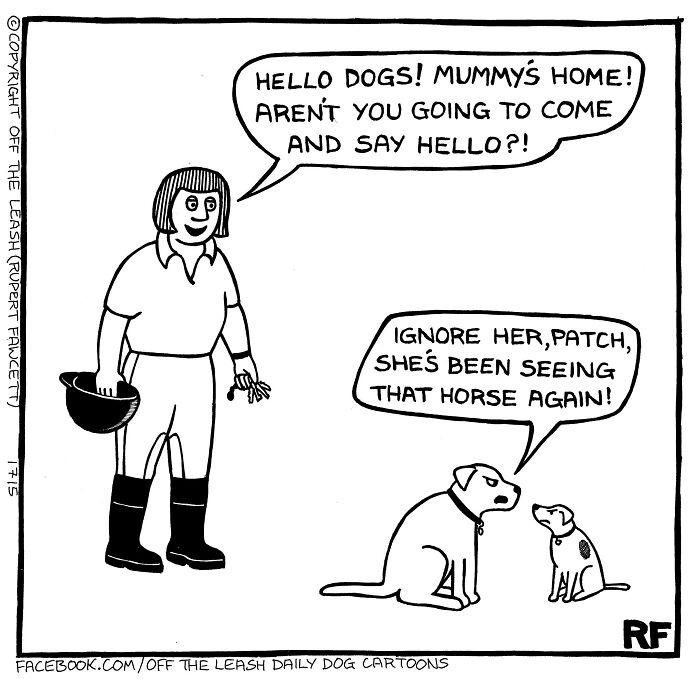 Cartoon of a woman greeting her dogs, who humorously discuss her interacting with a horse, showcasing the reality of owning a dog.