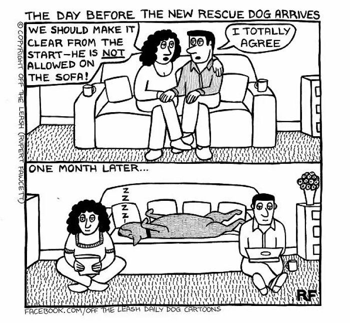 Comic about owning a dog shows couple agreeing not to let dog on sofa, then later the dog sleeps cozily on it.