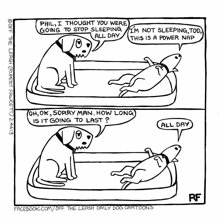 Cartoon of two dogs on a bed, discussing sleeping habits; one dog claims it's taking a power nap.