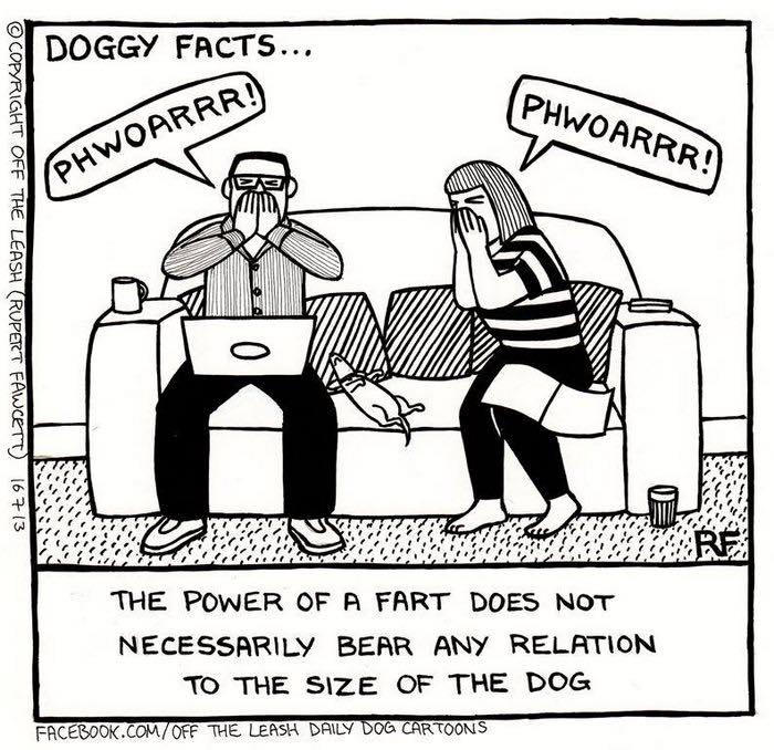 Cartoon of a couple reacting to dog's fart, illustrating the humorous reality of dog ownership.