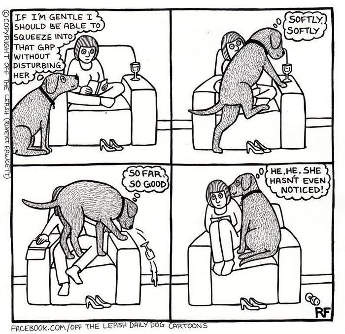Dog comic strip showing the humorous reality of owning a dog, with a dog trying to sit next to its owner on the couch.