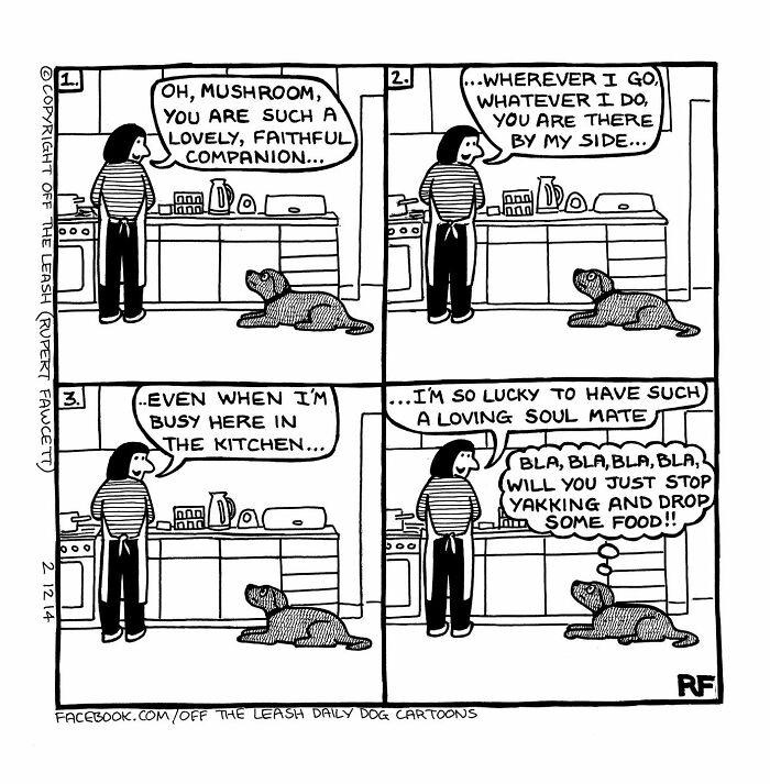 Comic strip about dog ownership showing a woman talking to her dog in the kitchen, highlighting relatable thoughts of both.