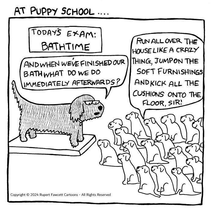 Comic of dog class about bath time routine, with puppies humorously describing post-bath chaos.
