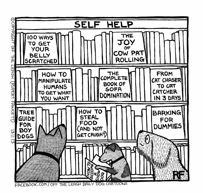 Dogs browsing a humorous library with books like "100 Ways to Get Your Belly Scratched" symbolizing dog ownership reality.
