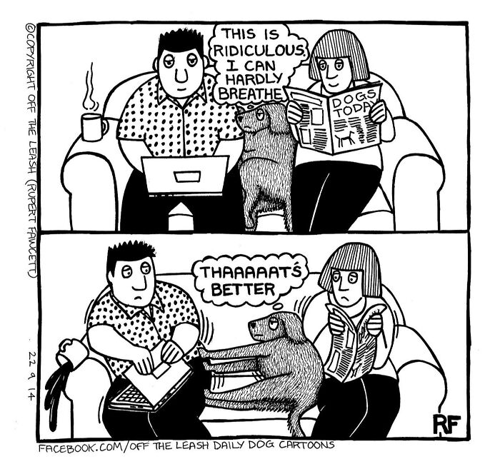 Comic of a dog owner struggling to work on a laptop while the dog demands attention, illustrating the reality of owning a dog.
