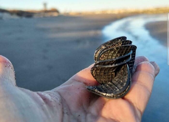 A hand holding a weird object resembling layered dark shells on a sandy beach.