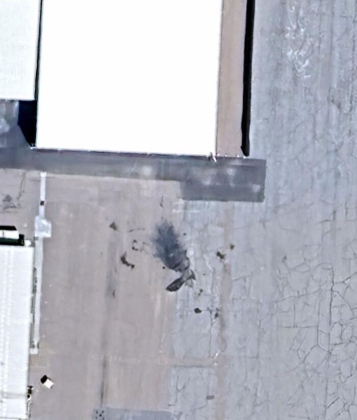 Aerial view of a strange dark shape on Google Earth near a building.