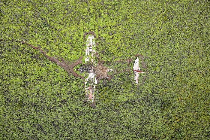 Strange object found on Google Earth in dense green forest, resembling an aircraft.