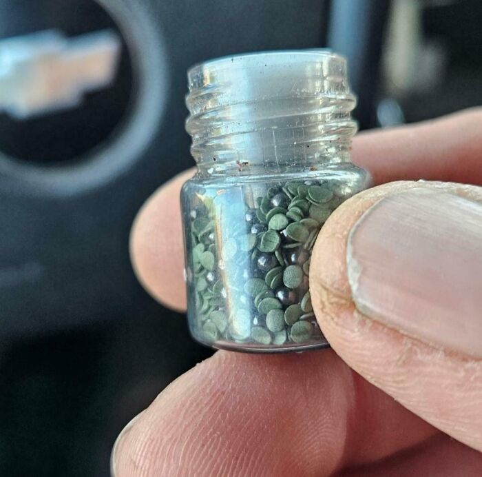 A tiny jar filled with small green objects, held between fingers in a car setting, showcasing a weird object find.