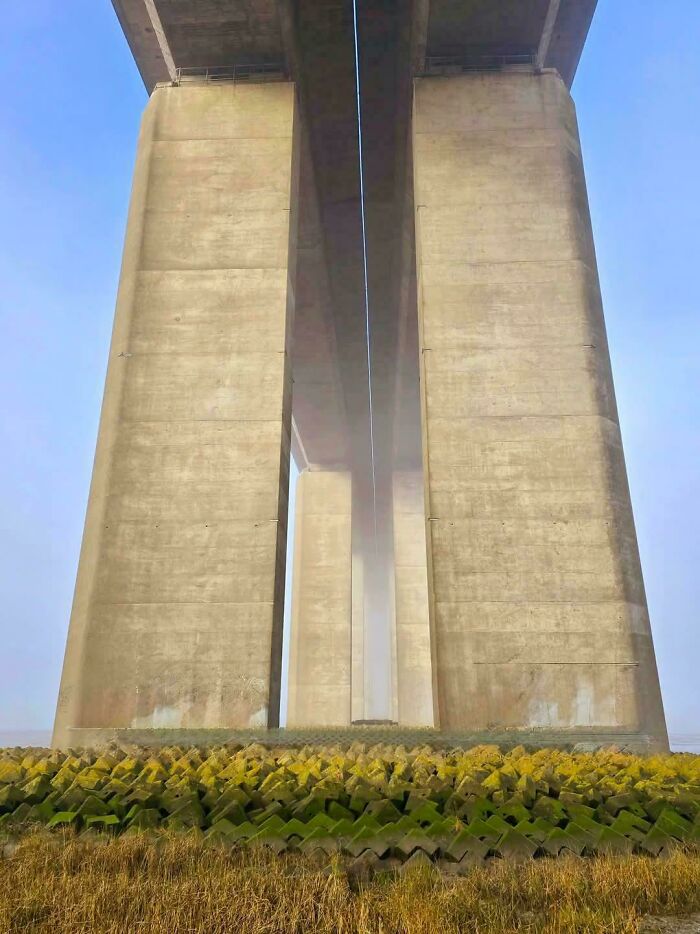 Massive concrete bridge pillars viewed from below, showcasing scarily big structures related to megalophobia.