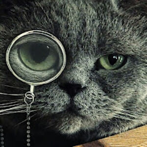 ladychelsealadychelseaofthevoid avatar