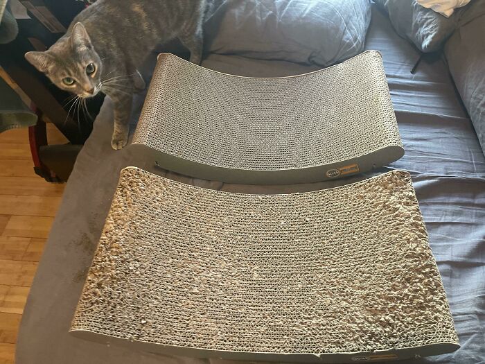 Two cat scratchers on a bed, one used over time, with a curious cat inspecting them.