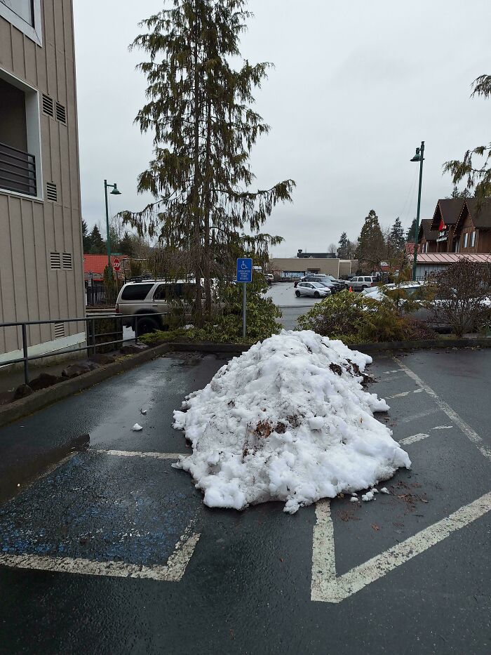 Snow pile blocking handicapped parking space, highlighting entitled behavior.