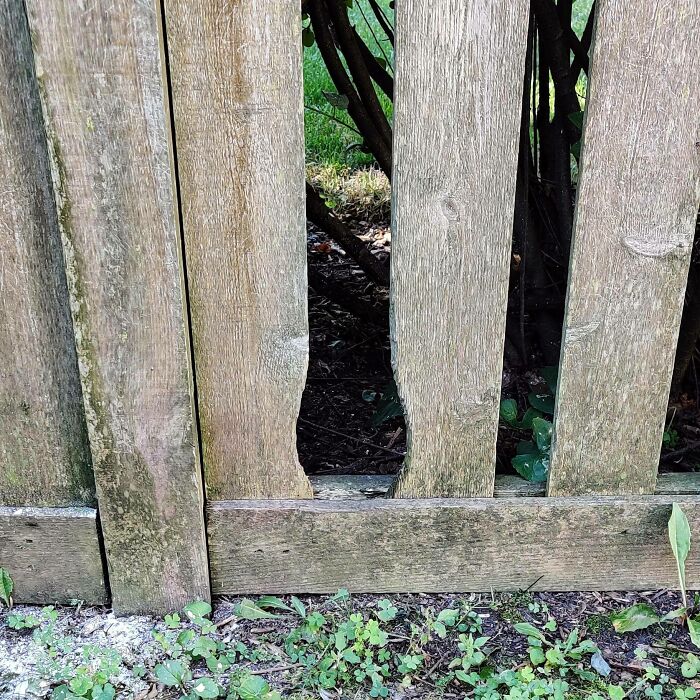 Worn wooden fence with curved gap, illustrating the effects of time on things.
