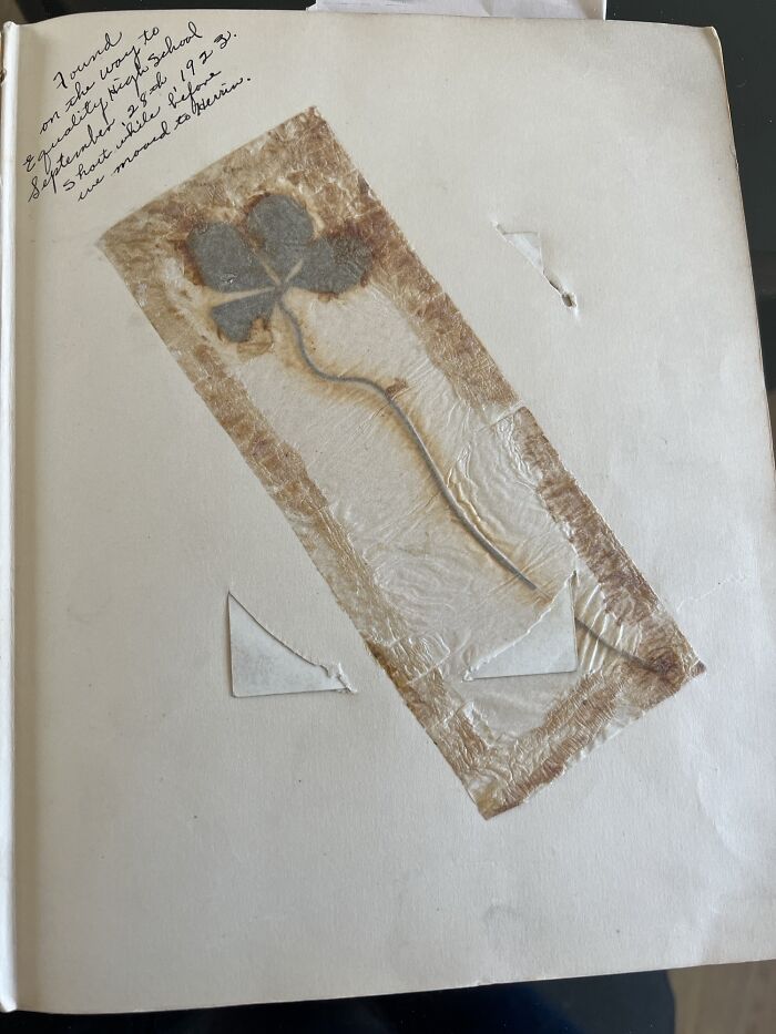 Pressed four-leaf clover taped to a page with handwritten note, illustrating the passage of time vs. things.