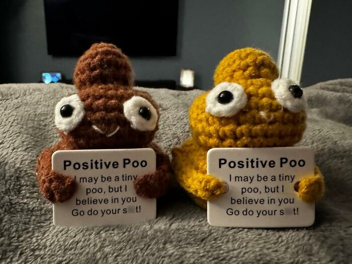 Two crochet p**p figures holding signs with humorous toilet humour messages, sitting on a blanket.