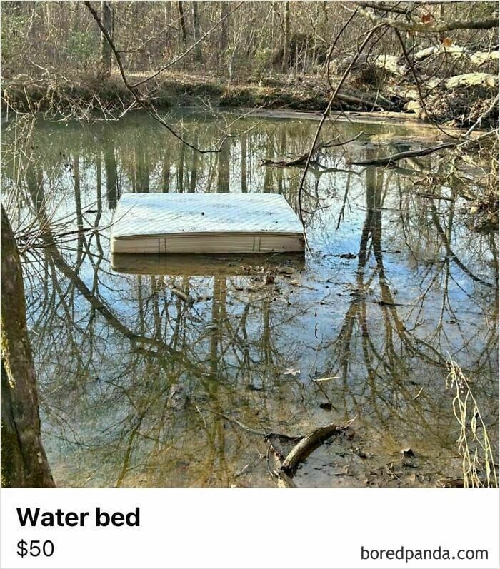 Mattress floating on a pond, listed as a "water bed" for $50 on Facebook Marketplace, showcasing a bad decision.
