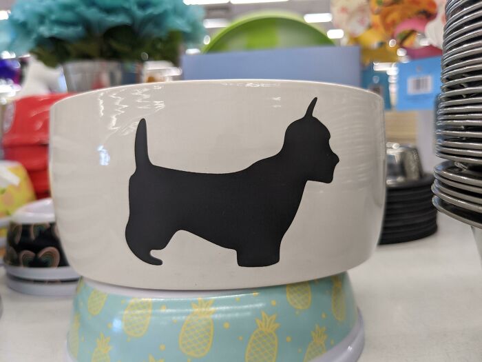 Dog design fail on a bowl, showing an incorrect silhouette of an animal, highlighting a common design mistake.