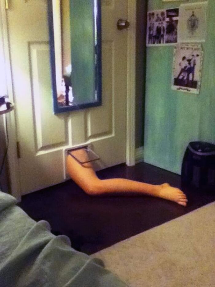 A mannequin leg humorously sticking through a pet door on an interior door.