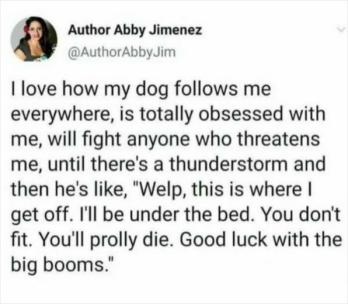 Funny meme about a dog's reaction to thunderstorms, highlighting its protective nature.