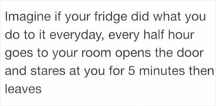 Weirdest meme about a fridge copying human behavior by staring at you for five minutes.