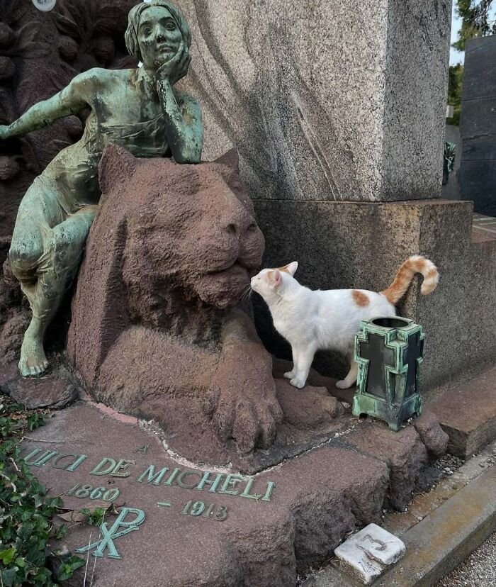 A cute white cat in a cemetery beside a lion statue and a bronze sculpture.