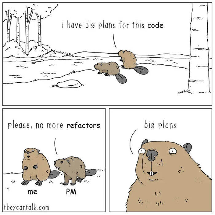 Two beavers discuss big plans for code and refactoring in a humorous programming and computer science meme.