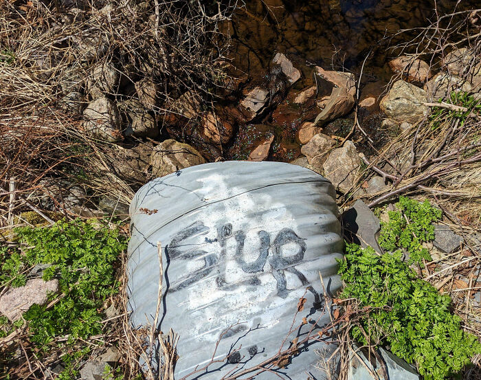 Graffiti on a metal pipe in a rocky Canadian landscape with plants, illustrating "Just Canada Things."